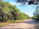 Aloja - CHARBONIER.Venta fracción de campo de 4,7has